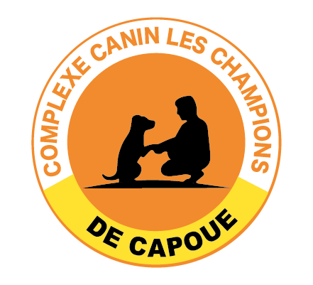 Complexe canin les campions de Capoue
