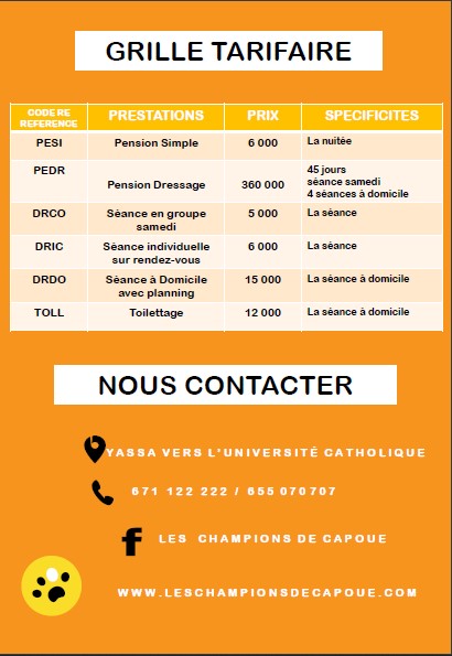 Catalogue les Champions de Capoué  Page 6