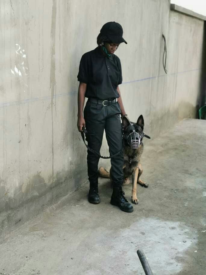 Chien de détection
