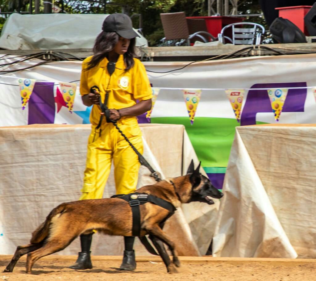 Chien de sécurité